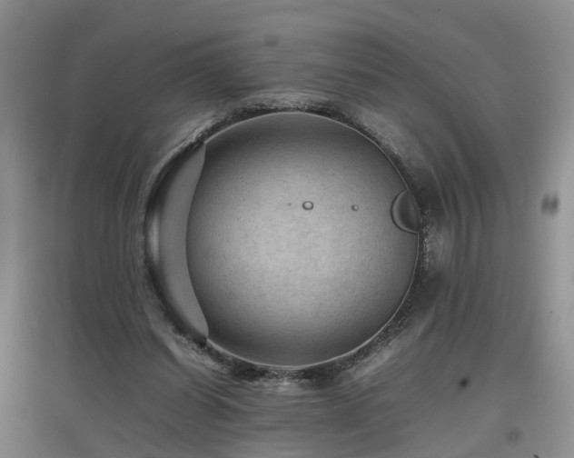 X0000097920254200803141447