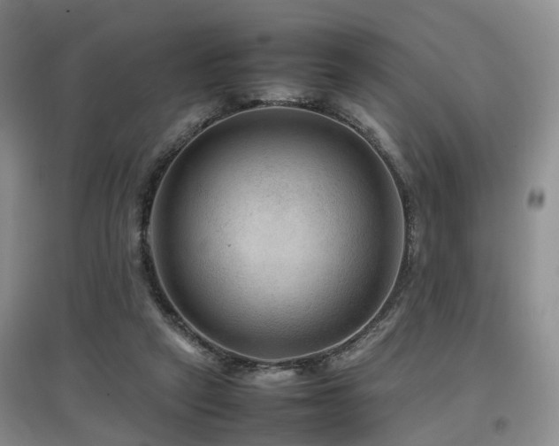 X0000097920257200803141447
