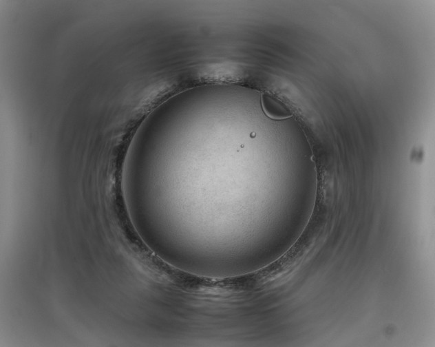 X0000097920259200803141447