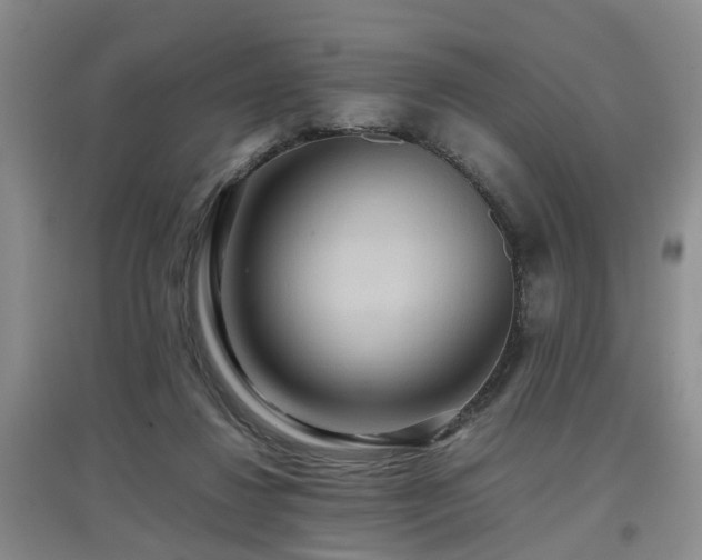 X0000097920260200803141447