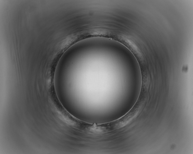 X0000097920261200803141447