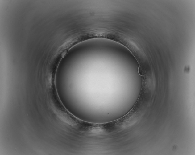 X0000097920262200803141447