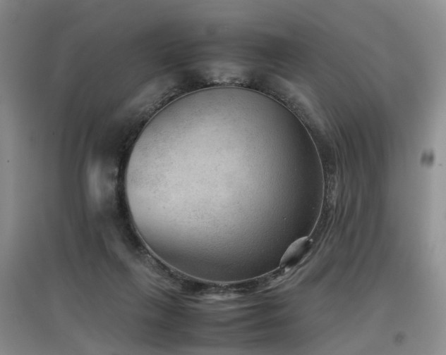 X0000097920263200803141447