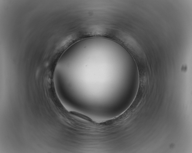 X0000097920264200803141447