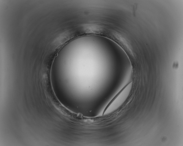 X0000097920265200803141447
