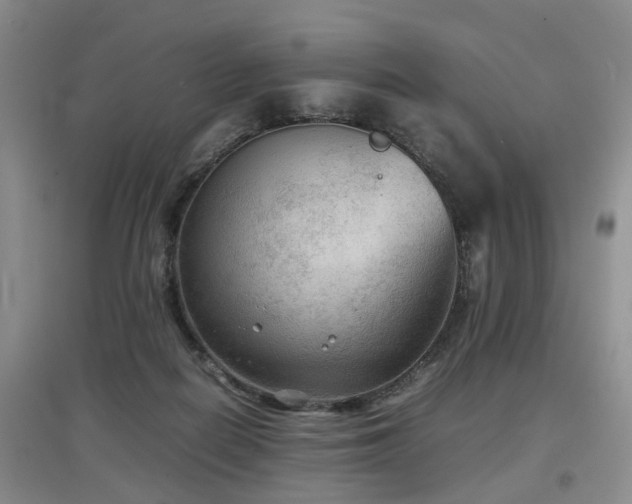 X0000097920266200803141447