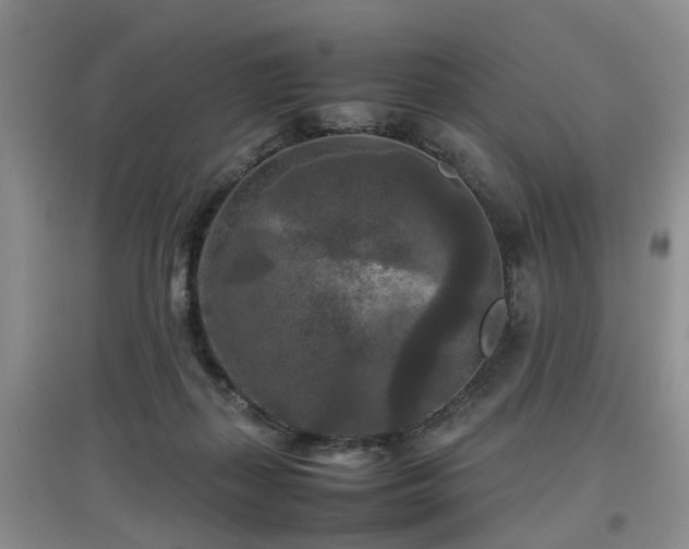 X0000097920267200803141448