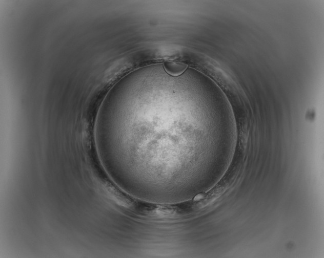 X0000097920270200803141448