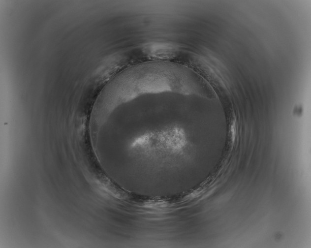 X0000097920271200803141448