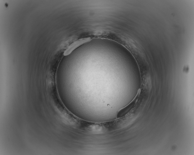 X0000097920272200803141448