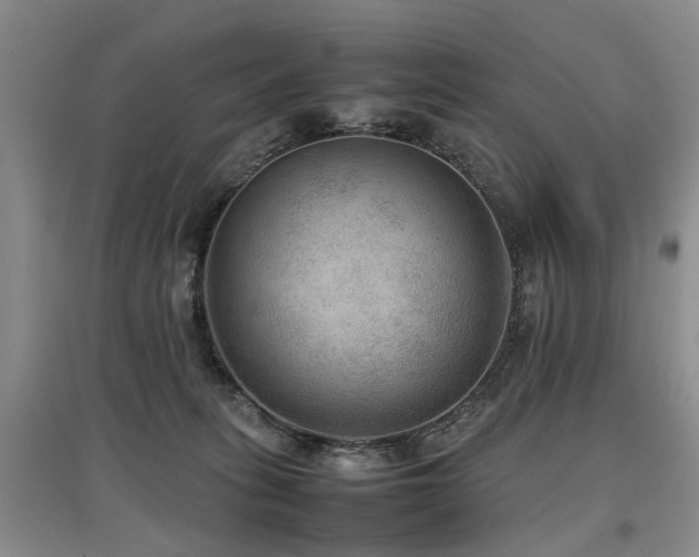 X0000097920275200803141448