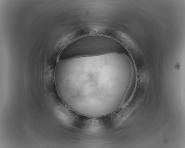 X0000097920276200803141448
