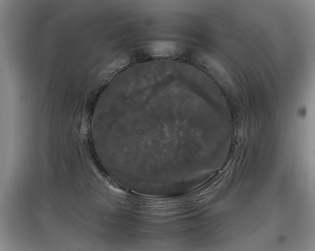 X0000097920277200803141448