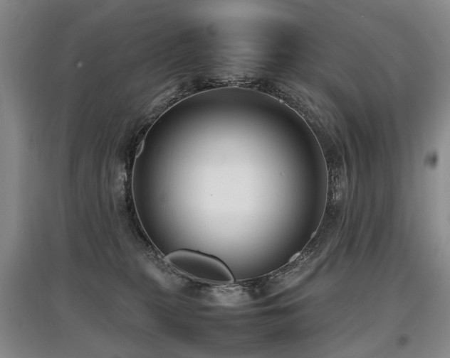 X0000097920279200803141448