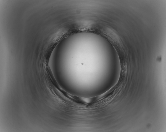 X0000097920280200803141448