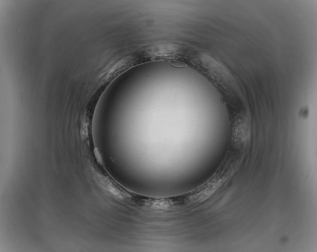 X0000097920282200803141448