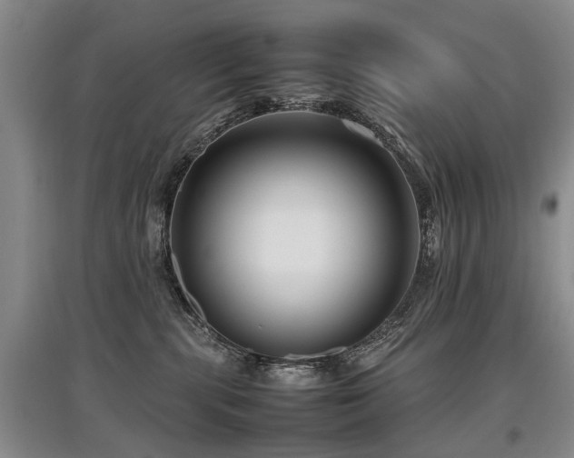 X0000097920283200803141448
