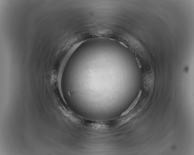 X0000097920284200803141448