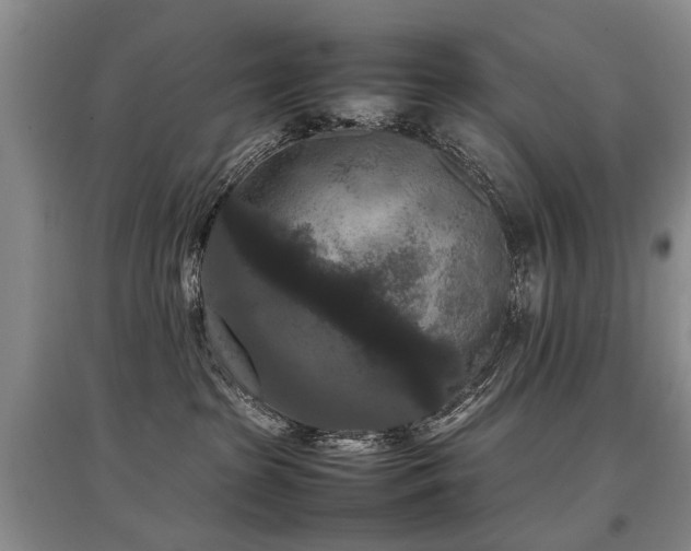X0000097920285200803141448