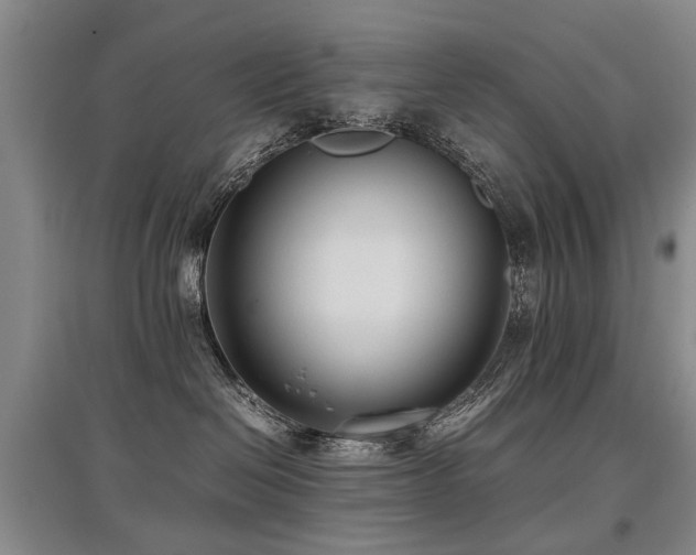 X0000097920286200803141448