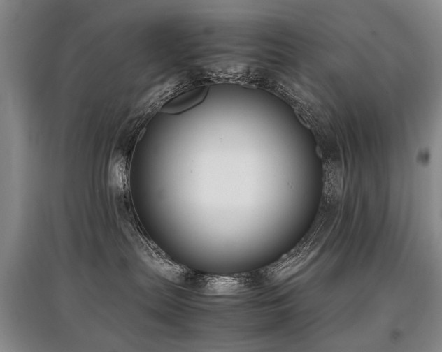 X0000097920287200803141448