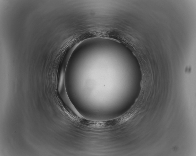 X0000097920288200803141448
