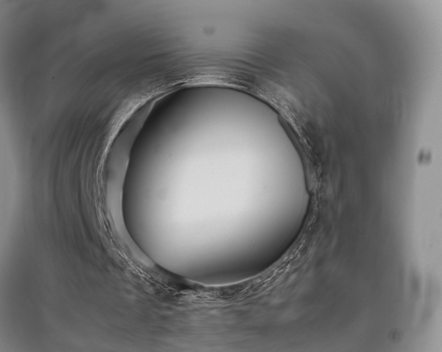 X0000097920289200803141447