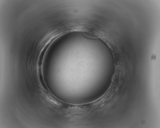X0000097920290200803141447
