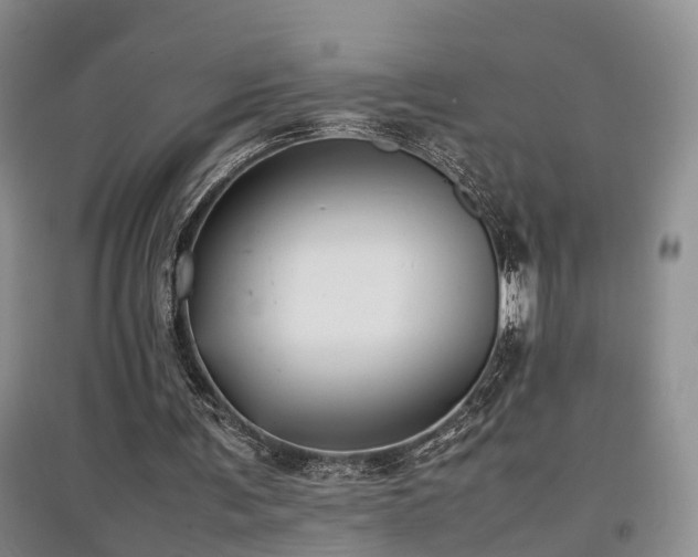 X0000097920291200803141447