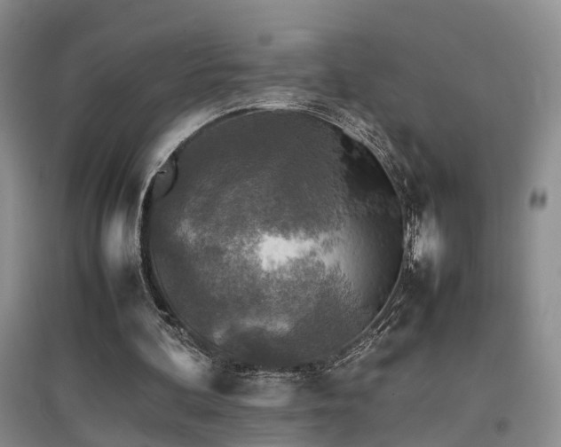 X0000097920292200803141447