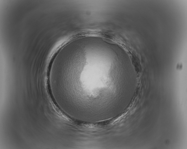X0000097920293200803141447