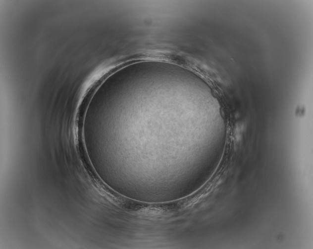 X0000097920294200803141447