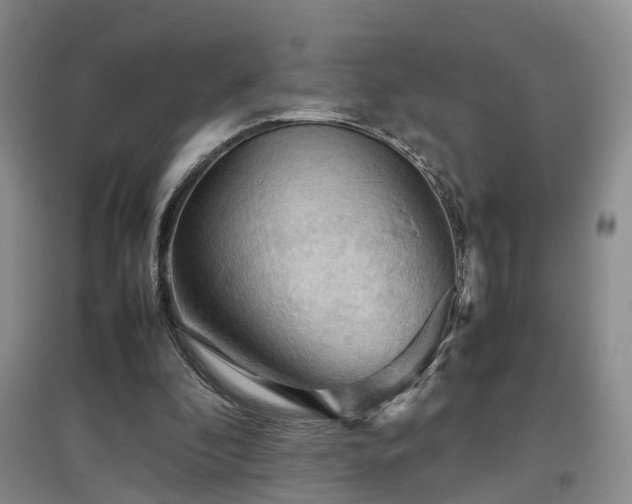 X0000097920296200803141447