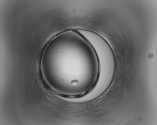 X0000097920297200803141447