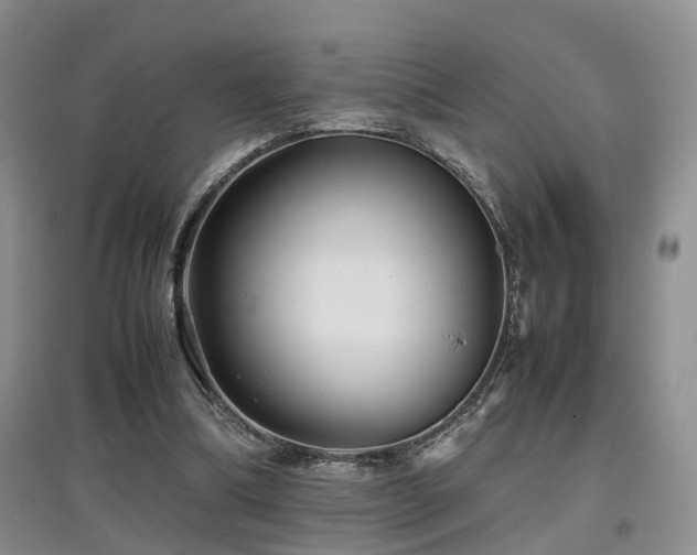 X0000097920298200803141447