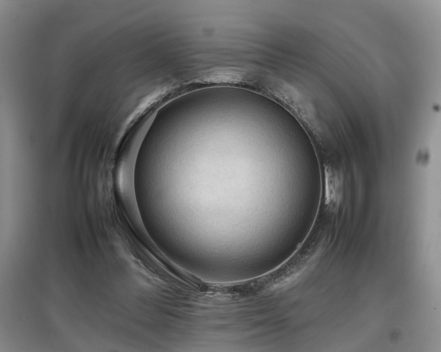 X0000097920300200803141447