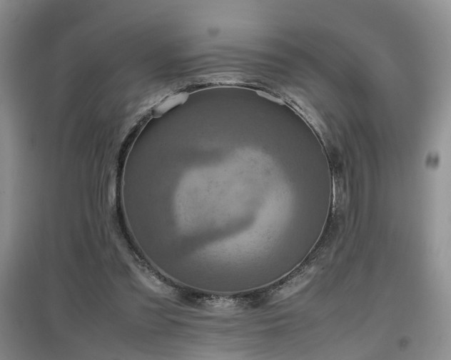 X0000097920301200803141447