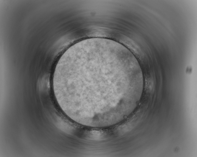 X0000097920302200803141447