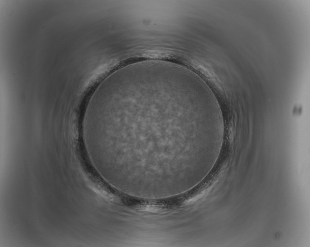 X0000097920303200803141447