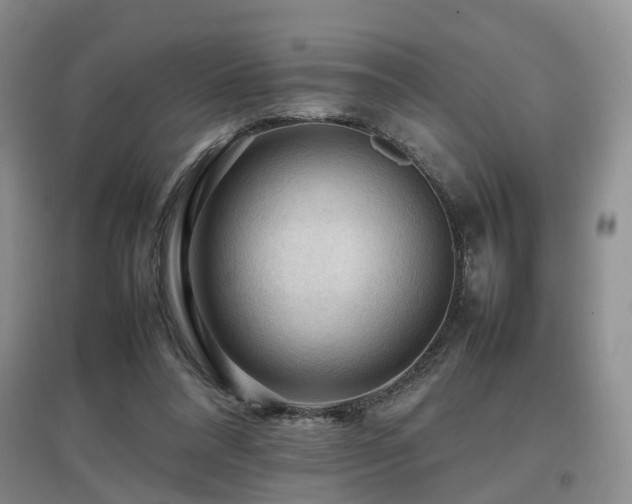 X0000097920304200803141447