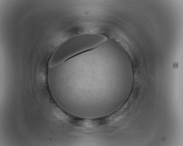 X0000097920305200803141447