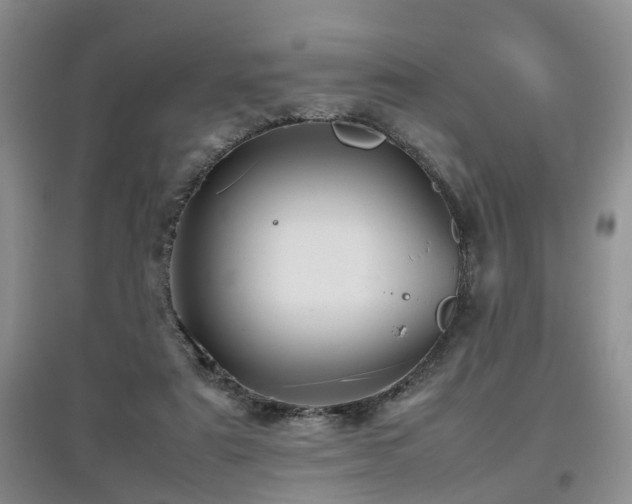X0000097920307200803141447