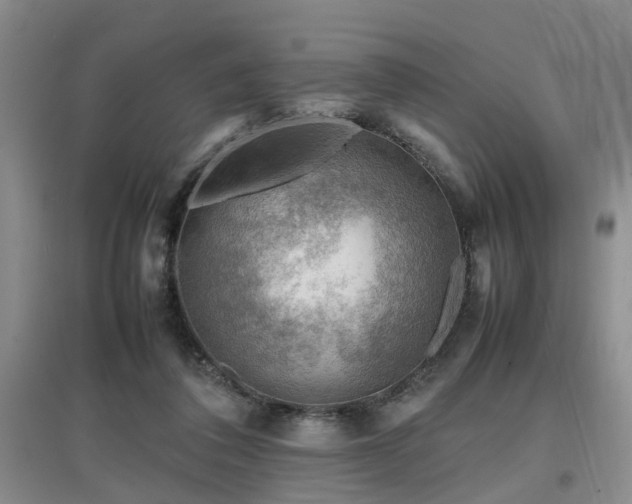 X0000097920308200803141447
