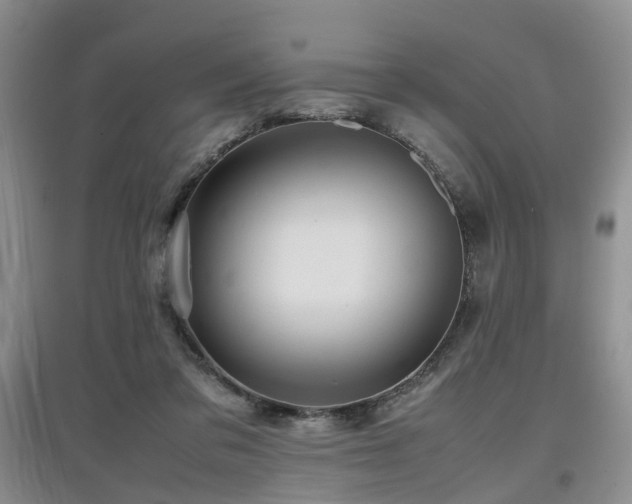 X0000097920309200803141447