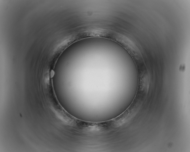 X0000097920310200803141447