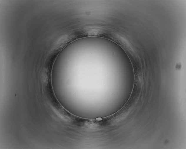 X0000097920311200803141447