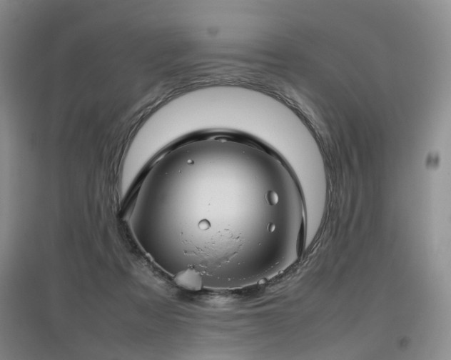 X0000097920313200803141447