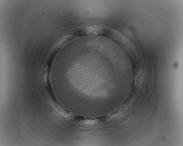X0000097920314200803141447