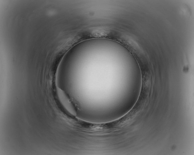 X0000097920315200803141447