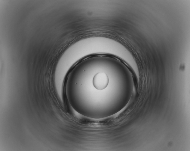 X0000097920316200803141447